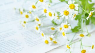 介護・依存から自立へ 1 依存から自立へ」の時代をどう生きるか―自立人生へのギアチェンジ